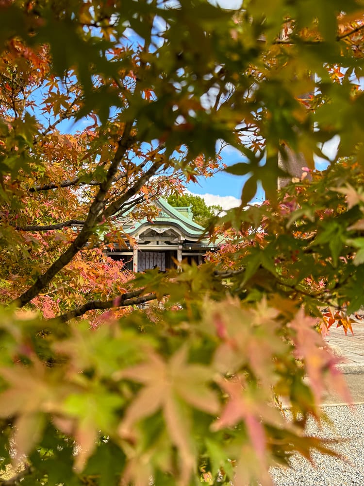 Flower, Osaka Castle, Japan